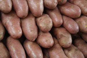 Batata frita perfeita: saiba truques infalíveis para não errar no